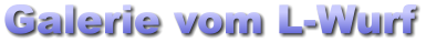Galerie vom L-Wurf